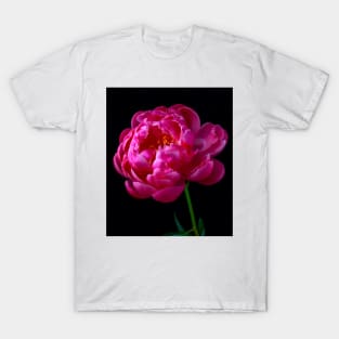 Pink Peony In Full Bloom T-Shirt